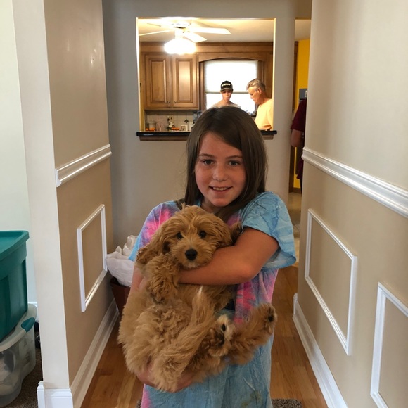 ZORRO SAYS “RELAX” - Picture 9 of 16